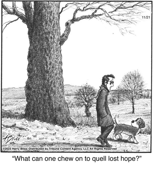 What can one chew on…