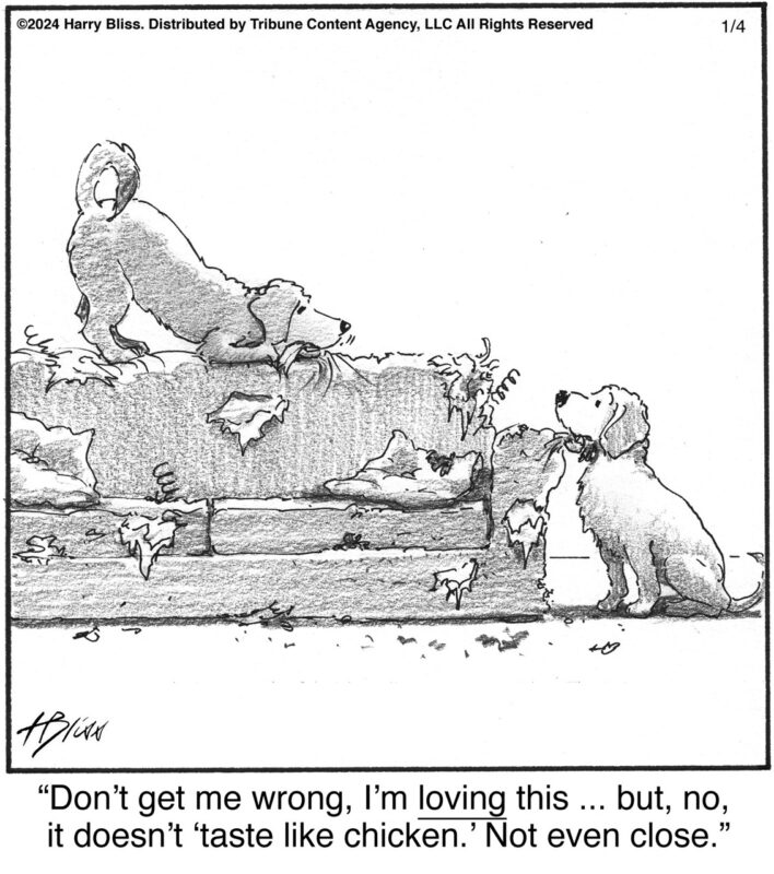 Don t Get Me Wrong 