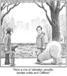 He’s a mix of labrador…...