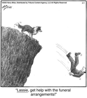 Lassie