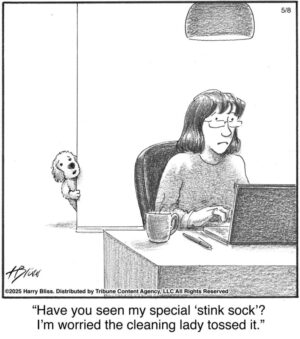 Have you seen my special…