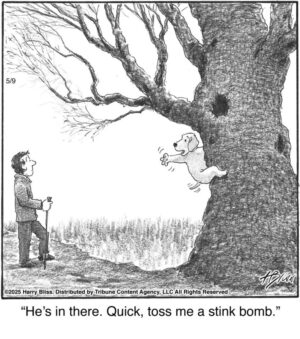 He’s in there. Quick…