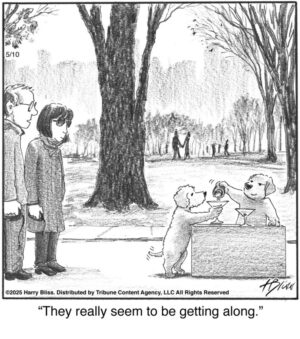 They really seem to…