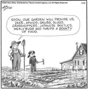 Soon our garden will provide us…