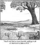 You’ll not find a more bucolic…...