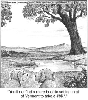You’ll not find a more bucolic…