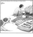 Bark Mulch…...