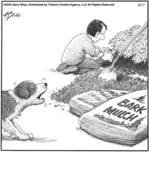 Bark Mulch…