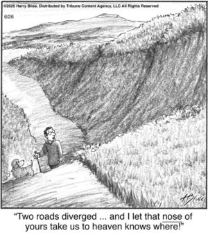 Two roads diverged…