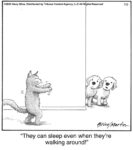 They can sleep even when…...
