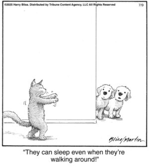 They can sleep even when…