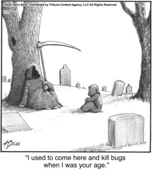 I used to come here and kill bugs…