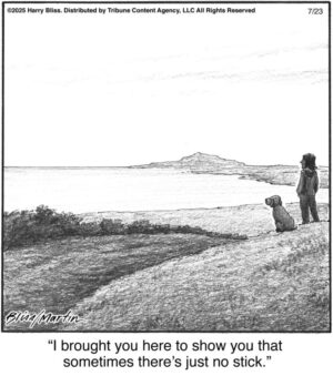 I brought you here to show you…