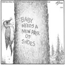 Baby needs a new pair…...