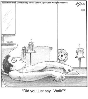 Did you just say…