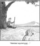 Weirdest squirrel EVER…...