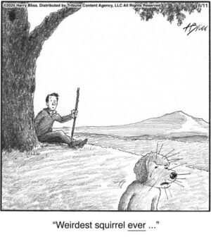Weirdest squirrel EVER…