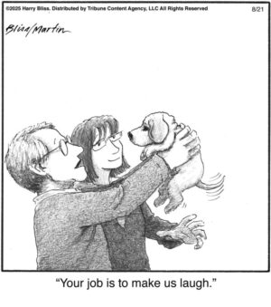 Your job is to…