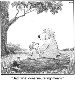 Dad