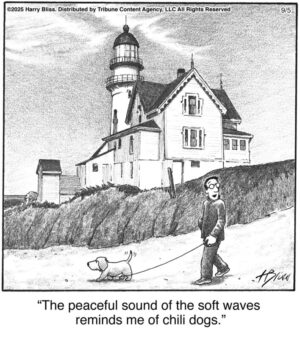 The peaceful sound of the…