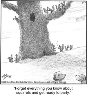 Forget everything you know…...