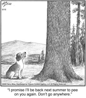 I promise I’ll be back…...